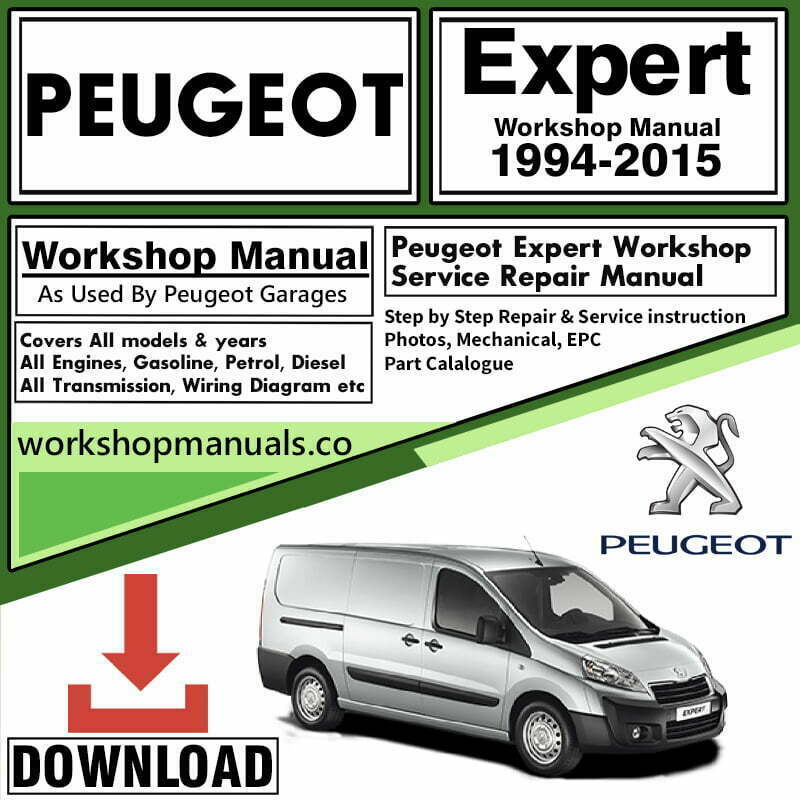 Peugeot Expert Manual Download