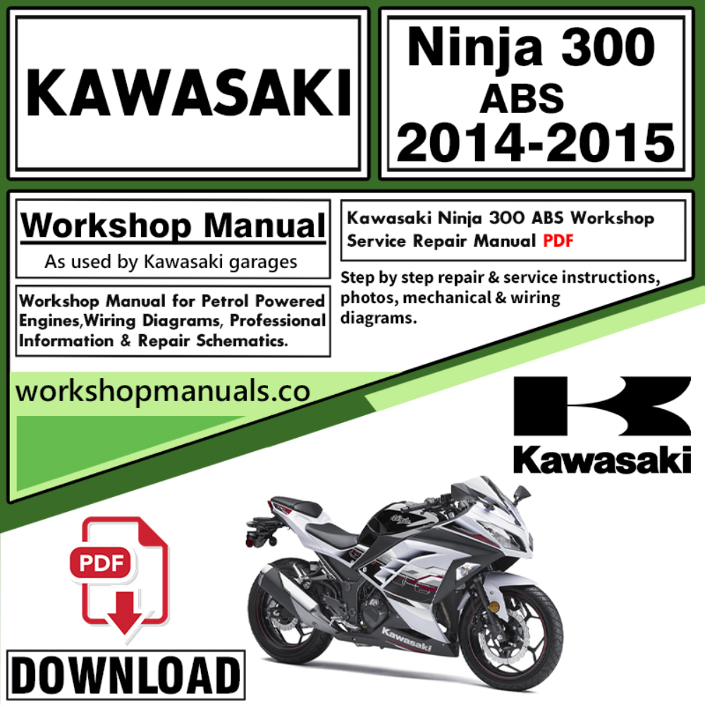 Kawasaki Ninja 300 ABS Workshop Service Repair Manual Download 2014 – 2015 PDF