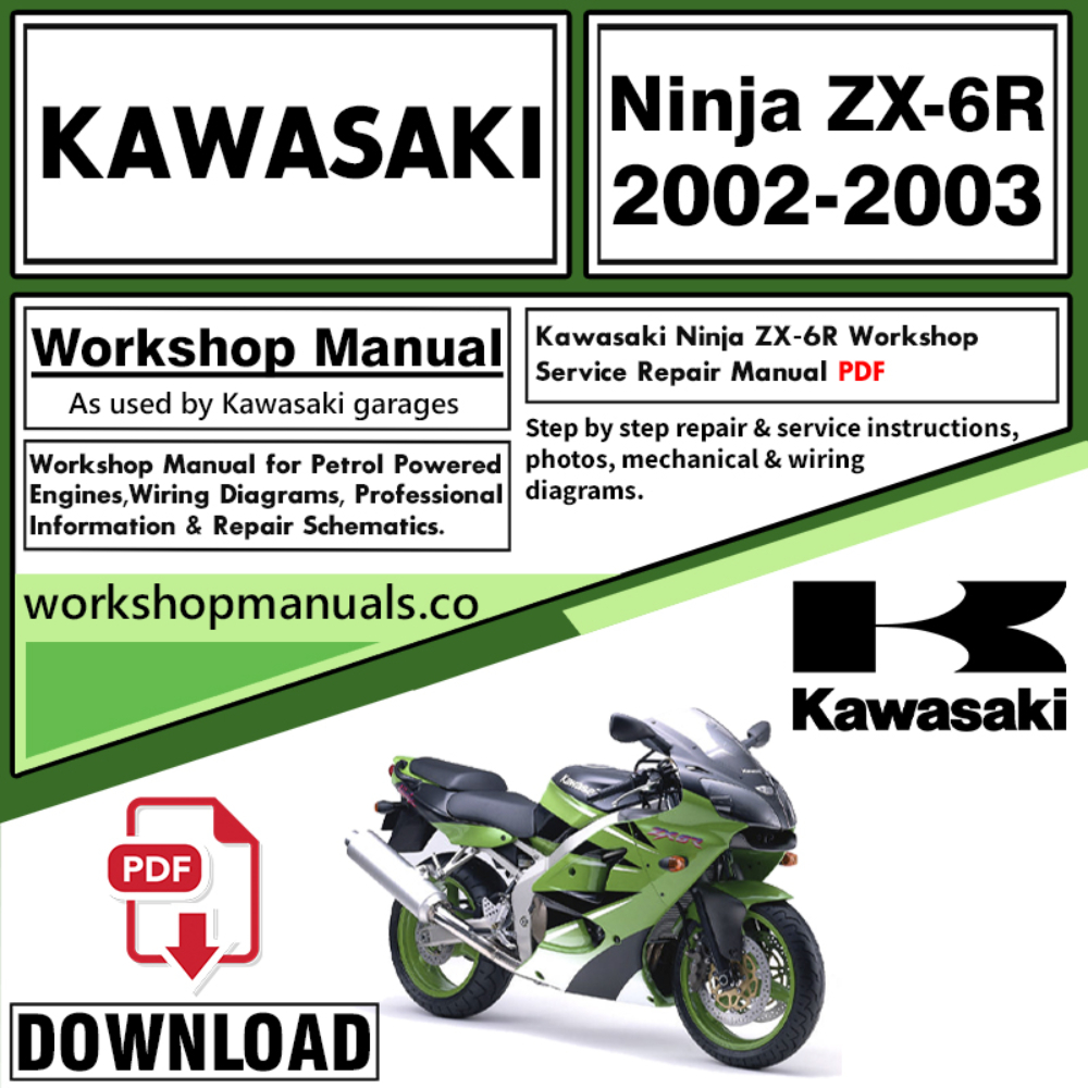 Kawasaki Ninja ZX-6R  Workshop Service Repair Manual Download 2002 – 2003 PDF