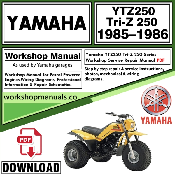 Yamaha YTZ250 Tri-Z 250 Service Repair Shop Manual Download