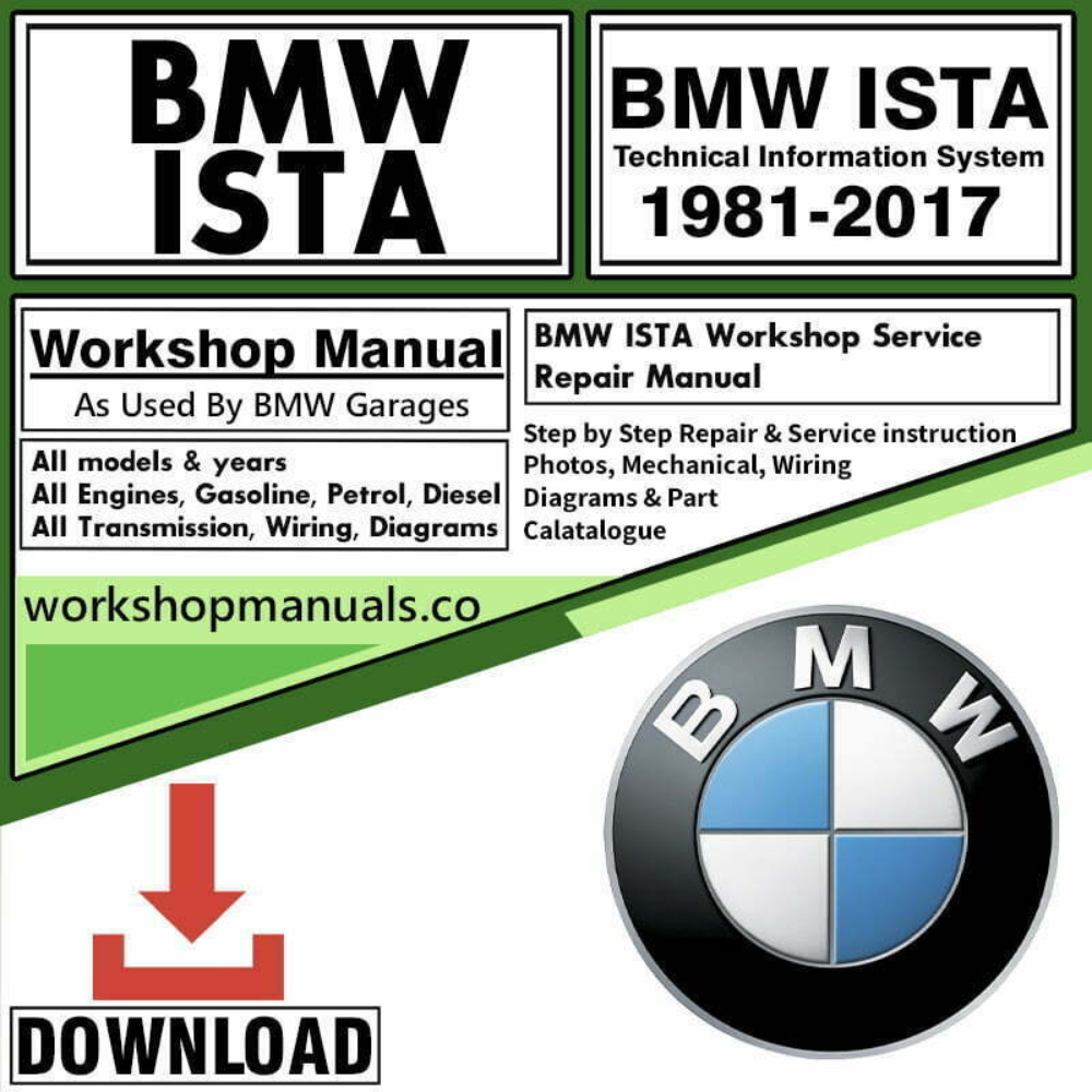 BMW ISTA Manual Download