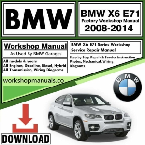 BMW X6 E71 Workshop Repair Manual Download