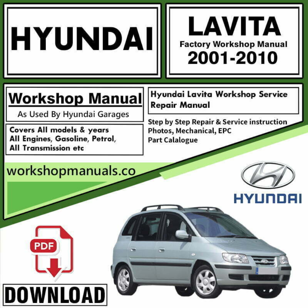 Hyundai Lavita Workshop Repair Manual