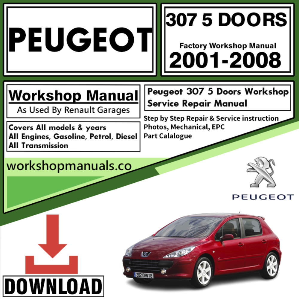 Peugeot 307 5 Doors Workshop Repair Manual Download 2001-2008