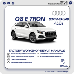 Audi Q8 e-tron Workshop Manual 2019-2024 PDF Download