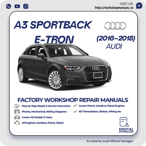 Audi A3 Sportback E-Tron Workshop Repair Manual 2016-2018 PDF Download