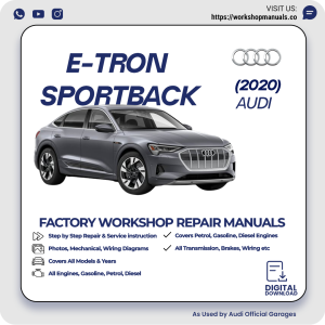 Audi E-Tron Sportback Workshop Repair Manual 2020 PDF Download