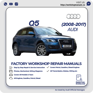 Audi Q5 Workshop Repair Manual 2008-2017 PDF Download