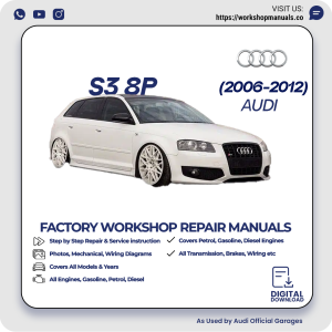 Audi S3 8P Workshop Repair Manual 2006-2012 PDF Download