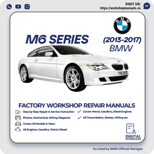 BMW M6 Series Workshop Repair Manual 2013-2017 PDF Download