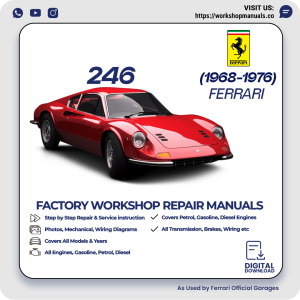 Ferrari 246 Workshop Manual 1968-1976 PDF Download
