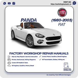 Fiat Panda Workshop Manual 1980-2003 PDF Download