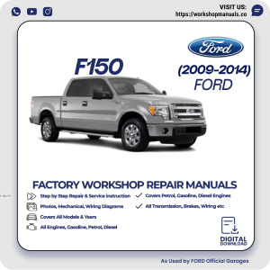 Ford F-150 Workshop Manual 2009-2014 PDF Download
