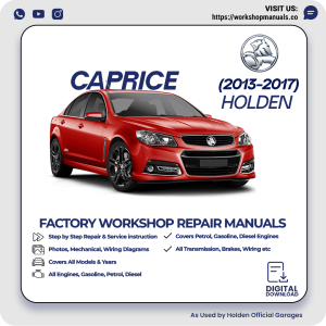 Holden Caprice Workshop Manual 2013-2017 PDF Download