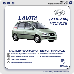 Hyundai Lavita Workshop Repair Manual 2001-2010 PDF Download