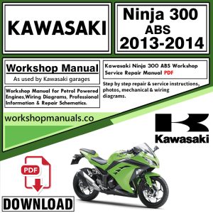 Kawasaki Ninja 300 ABS Workshop Manual 2013-2014 PDF Download