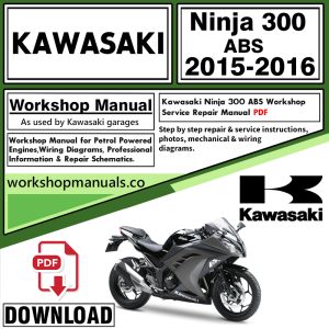 Kawasaki Ninja 300 ABS Workshop Manual 2015-2016 PDF Download