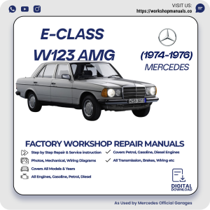 Mercedes E-Class W123 AMG Workshop Repair Manual 1974-1976 PDF Download