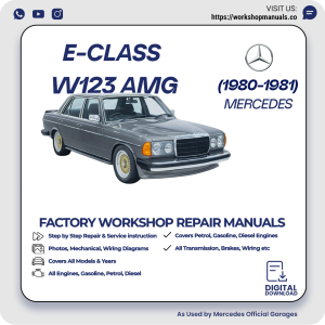 Mercedes E-Class W123 AMG Workshop Repair Manual 1980-1981 PDF Download