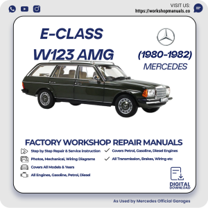 Mercedes E-Class W123 AMG Workshop Repair Manual 1980-1982 PDF Download