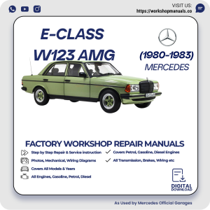 Mercedes E-Class W123 AMG Workshop Repair Manual 1980-1983 PDF Download