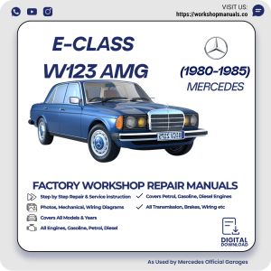 Mercedes E-Class W123 AMG Workshop Repair Manual 1980-1985 PDF Download