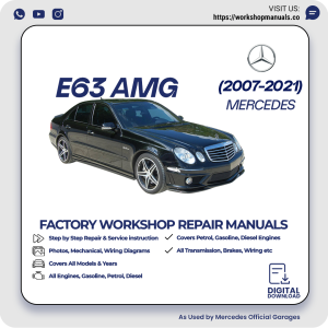 Mercedes E63 AMG Workshop Repair Manual 2007-2021 PDF Download