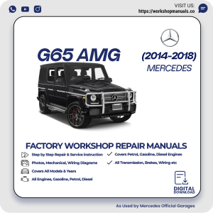 Mercedes G65 AMG Workshop Repair Manual 2014-2018 PDF Download