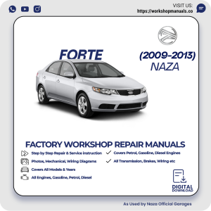 Naza Forte Workshop Manual 2009-2013 PDF Download