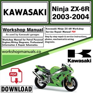 Kawasaki Ninja ZX-6R Workshop Manual 2003-2004 PDF Download