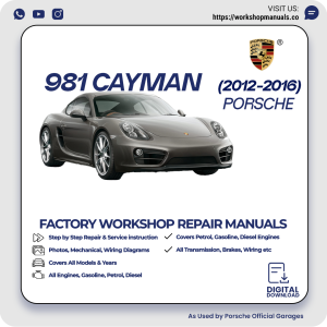 Porsche 981 Cayman Workshop Manual 2012-2016 PDF Download