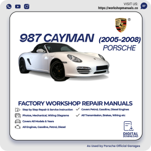 Porsche 987 Cayman Workshop Manual 2005-2008 PDF Download