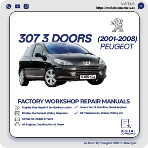 Peugeot 307 3 Doors Workshop Repair Manual 2001-2008 PDF Download