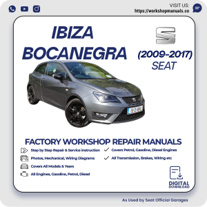 Seat Ibiza Bocanegra Workshop Repair Manual 2009-2017 PDF Download