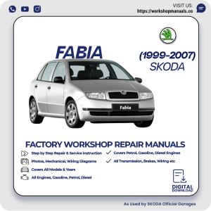 Skoda Fabia Workshop Repair Manual 1999-2007 PDF Download