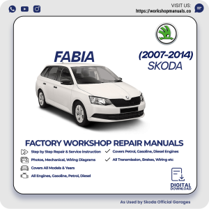 Skoda Fabia Workshop Repair Manual 2007-2014 PDF Download