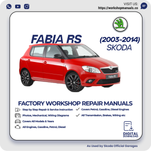 Skoda Fabia RS Workshop Repair Manual 2003-2014 PDF Download