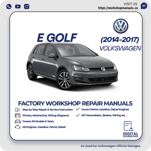 Volkswagen e-Golf Workshop Manual 2014-2017 PDF Download